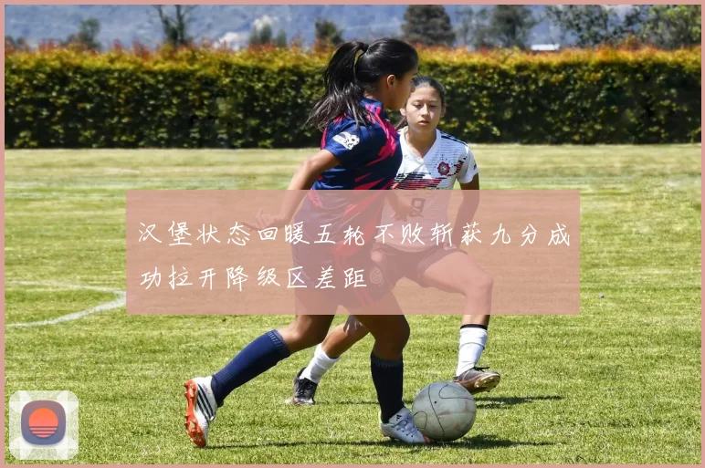 汉堡状态回暖五轮不败斩获九分成功拉开降级区差距
