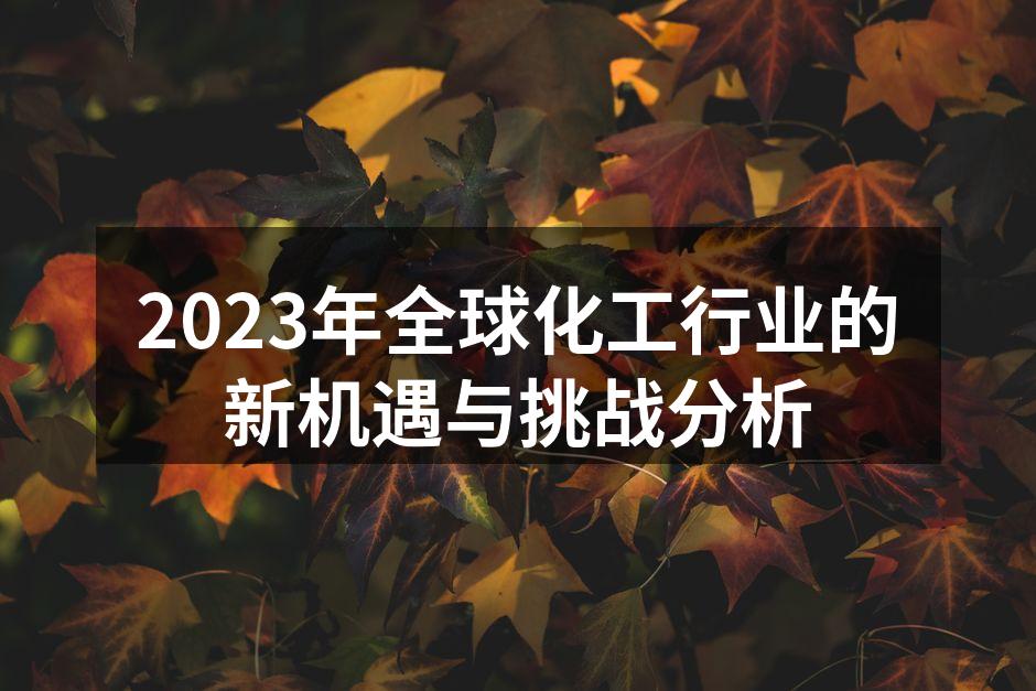 2023年全球化工行业的新机遇与挑战分析